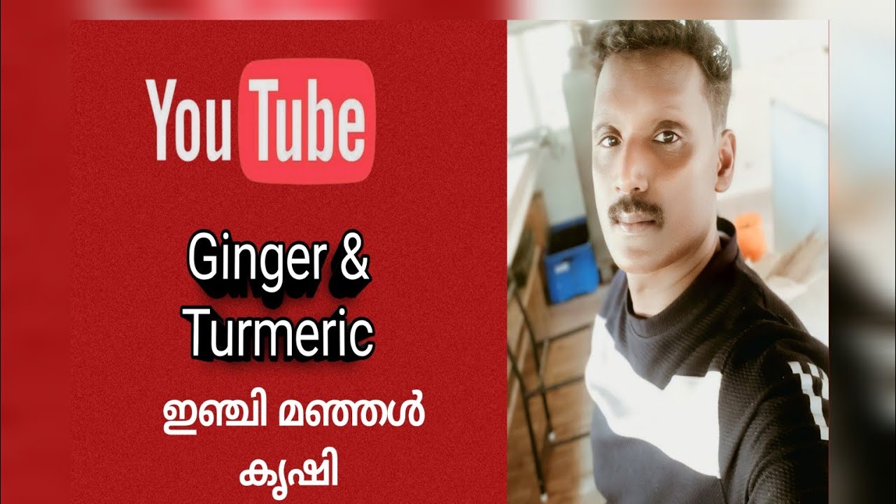 My Problems In Ginger And Turmeric Cultivation ഇഞ്ചി മഞ്ഞൾ കൃഷിയിലെ എൻറെ പ്രശ്നങ്ങൾ