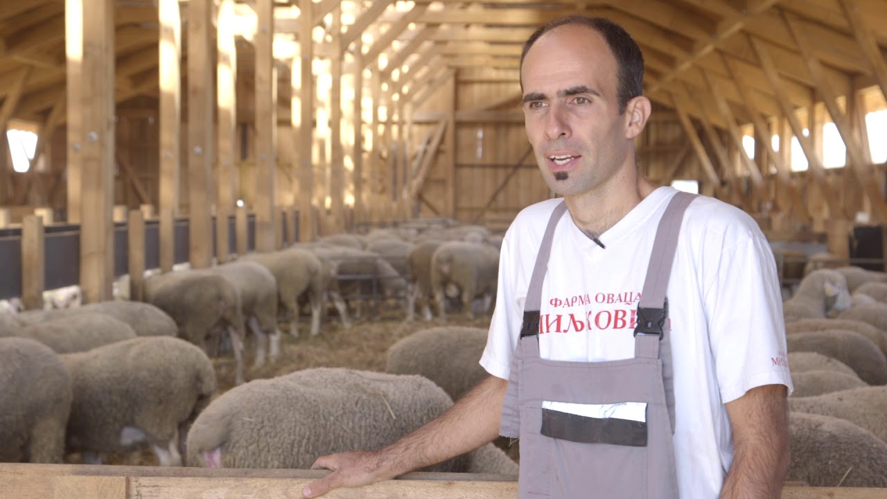 Ovčarstvo ep. 4 16.10.2018. - uslovi držanja i objekti, izgradnja ovčarnika
