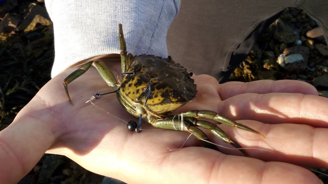 comment monter un crabe avec deux hame&ccedil;ons dont un coulissant?