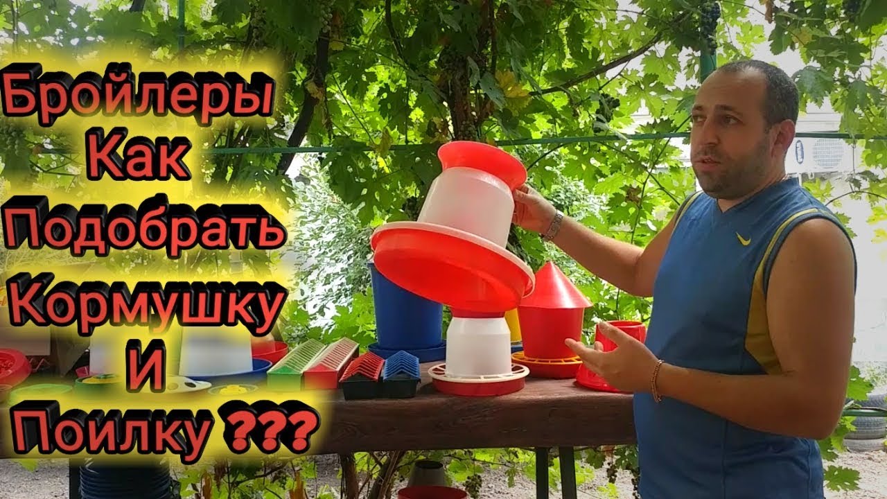 Бройлеры Как Подобрать Кормушку и Поилку ?