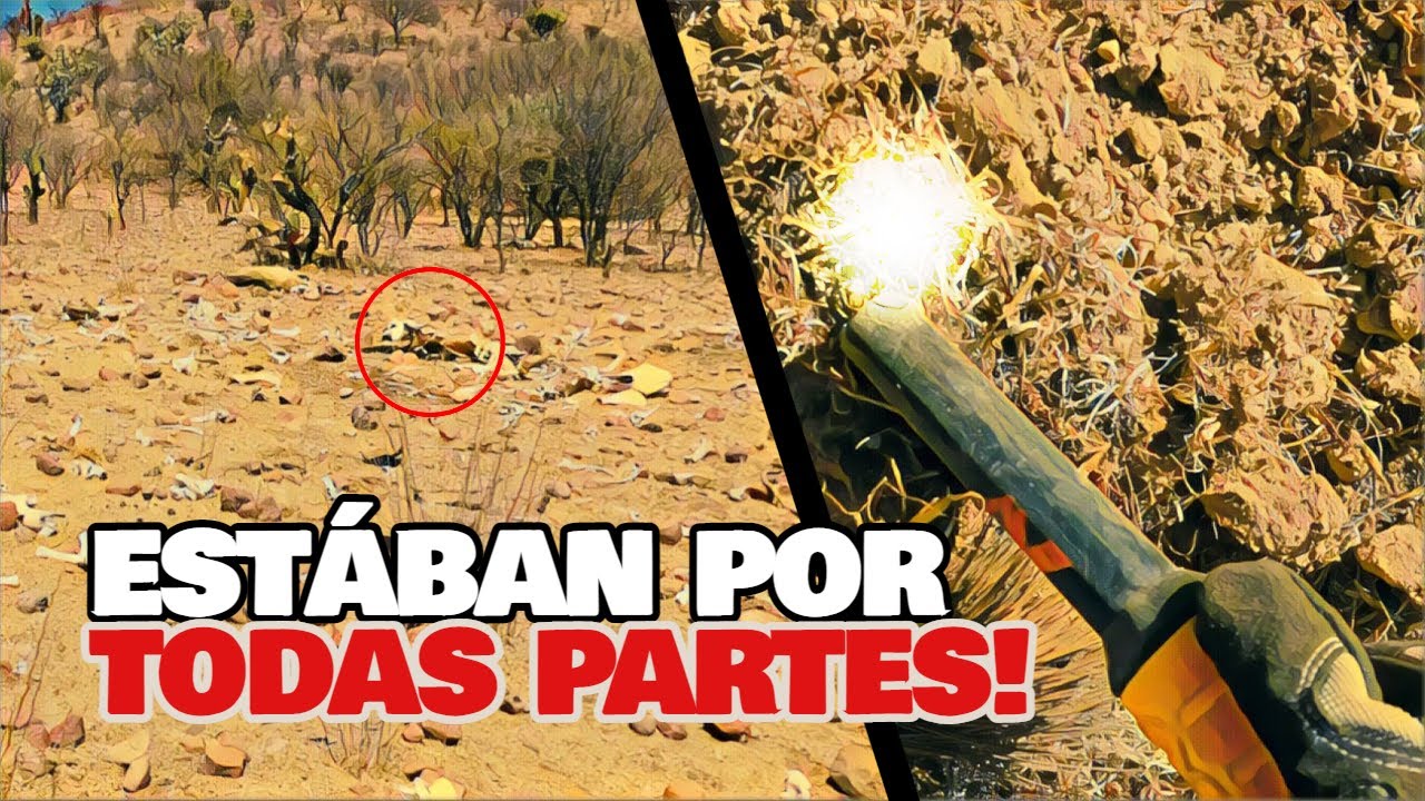 &iquest;Qu&eacute; PASO Aqu&iacute;? Encontramos Algo M&aacute;s Que MONEDAS Enterradas!