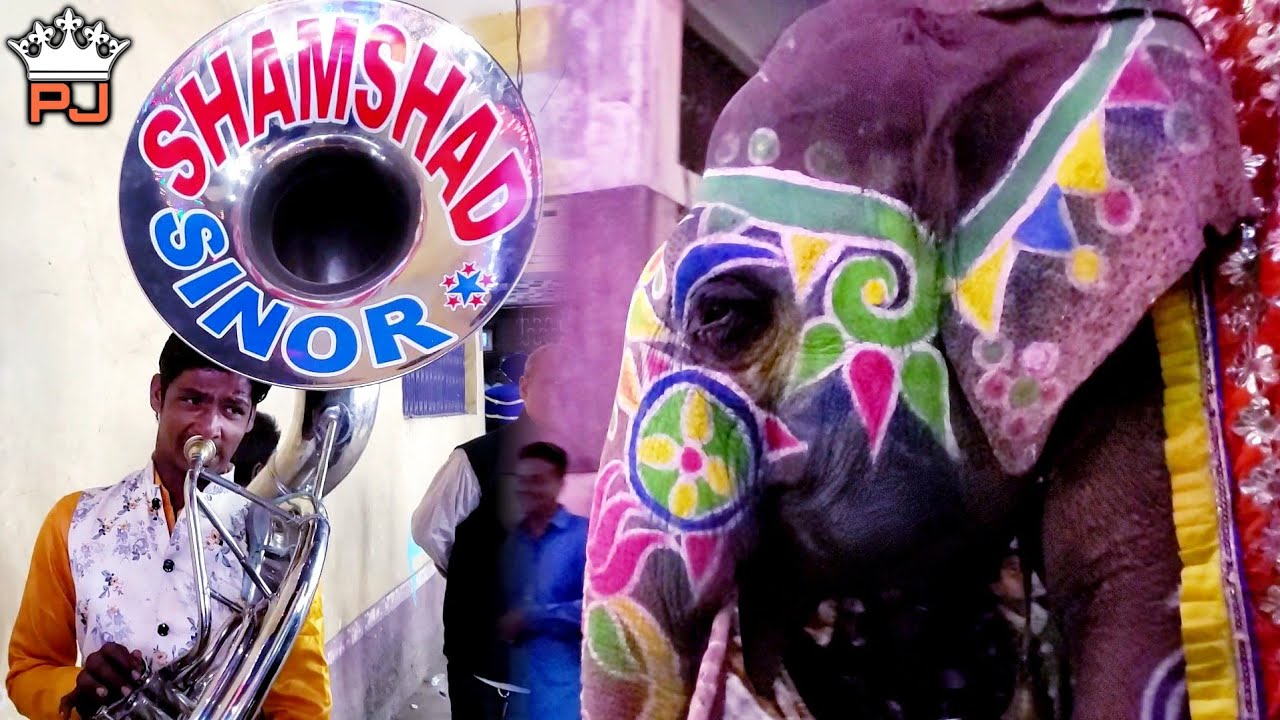 Shamshad Band Sinor | Naino Me Sapna | Pavan Jadav