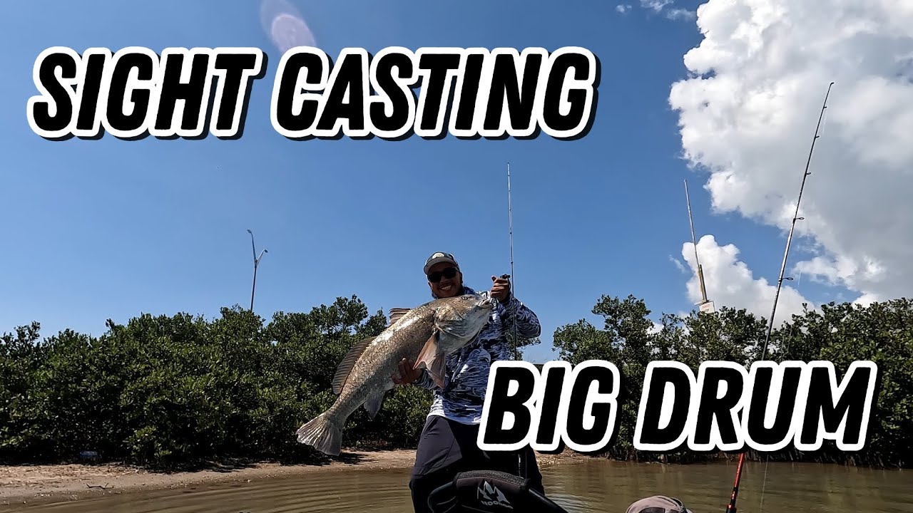 Kayak fishing South Padre Island and hooked a big drum (Personal Best Black Drum) 