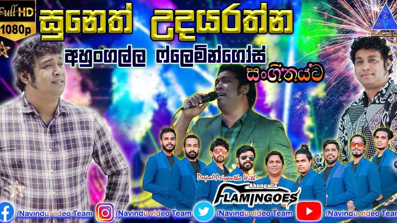 සුනෙත් උදයරත්න | Suneth Udayarathna | (පොඩි ජෝති) |  අහුංගල්ල Flamingoes සංගීතයට | NvT