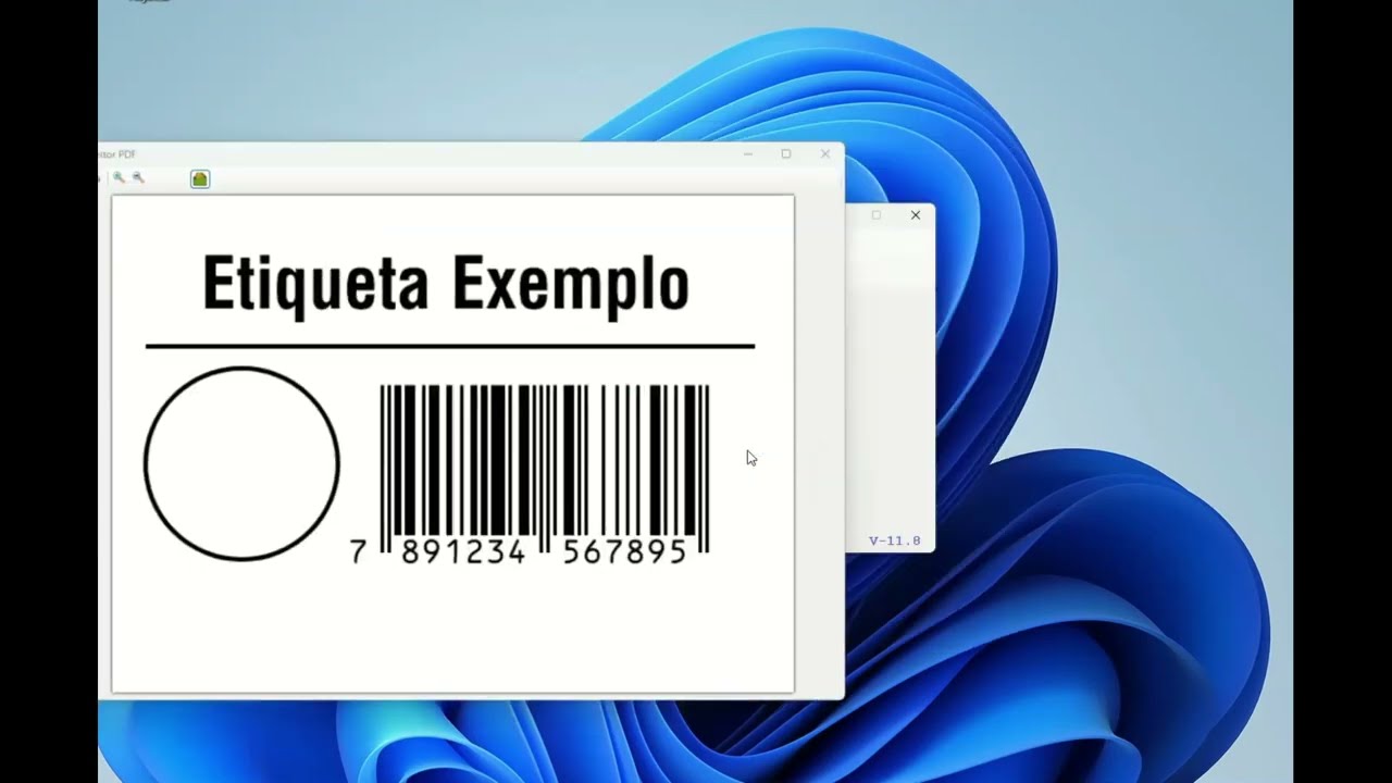 Usando o Zebra Designer e MLTotal proMAX para fazer etiquetas para qualquer impressora.