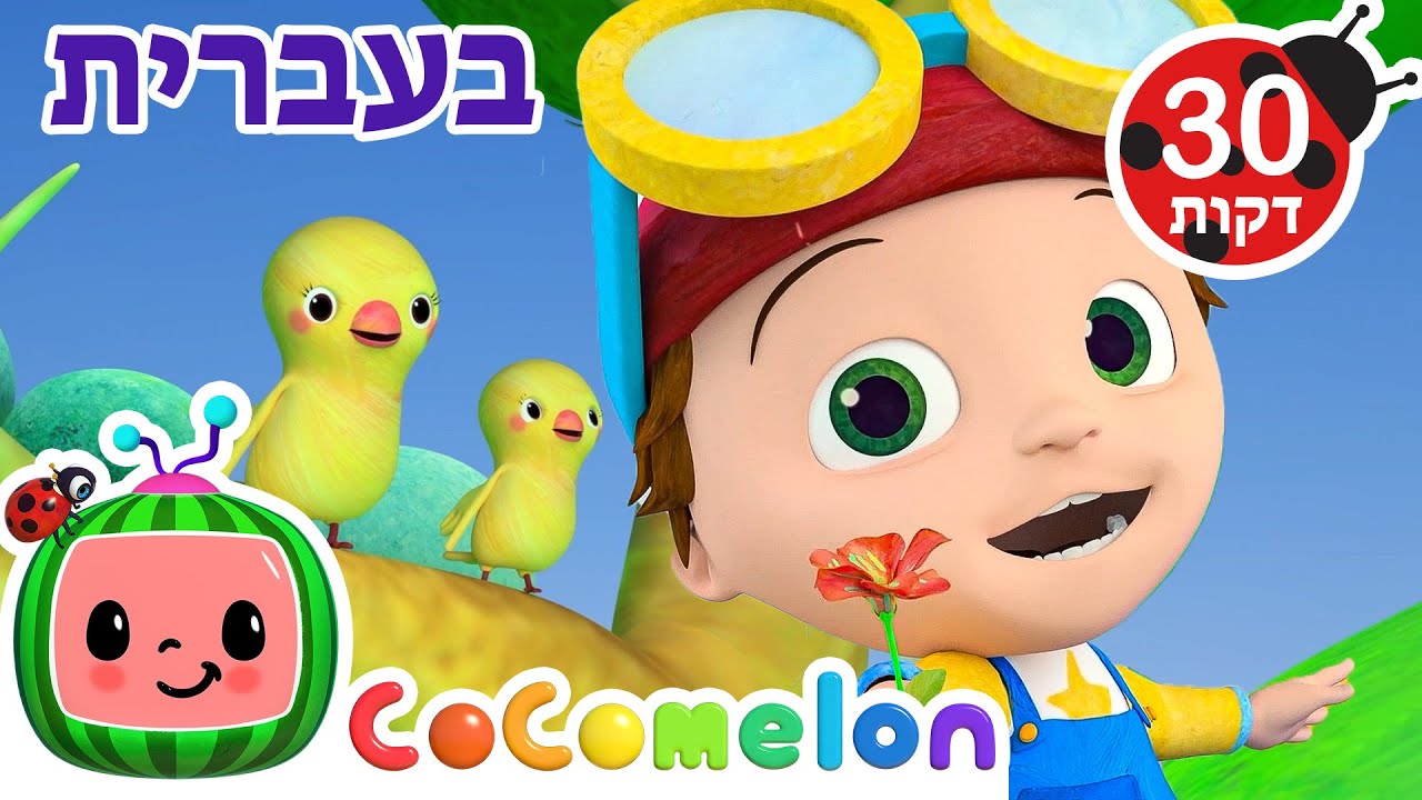 שיר חמשת החושים | שירי ערש לתינוקות | CoComelon - קוקומלון בעברית