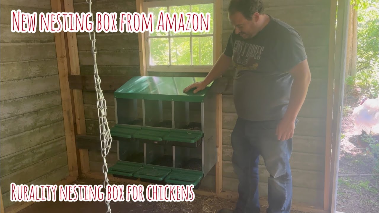 New Nesting Boxes From Amazon: Rurality Nesting Boxes for Chickens Review