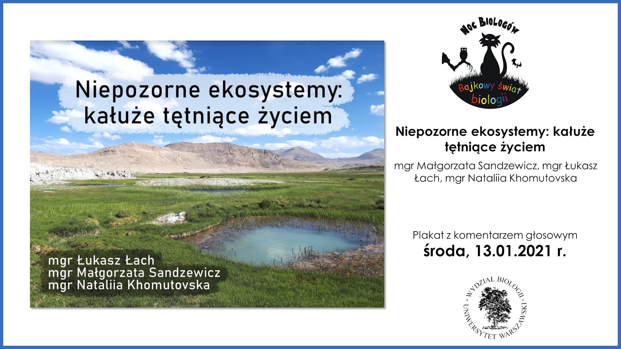 Niepozorne ekosystemy: kałuże tętniące życiem