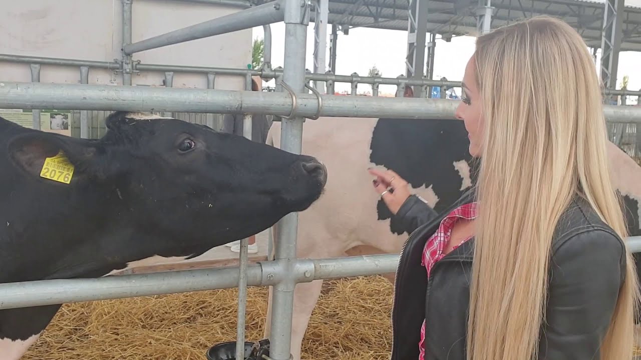 Intelligent Technology Modern Cow Calf Transportation Automatic Milking Pretty Girl in Smart Cowshed
