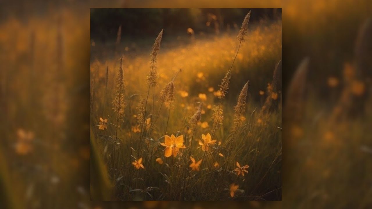 [FREE] Guitar Loop Kit / Sample Pack - &ldquo;Shadows&rsquo;&rsquo; (Kid LAROI, Rod Wave, Iann Dior, Juice WRLD)