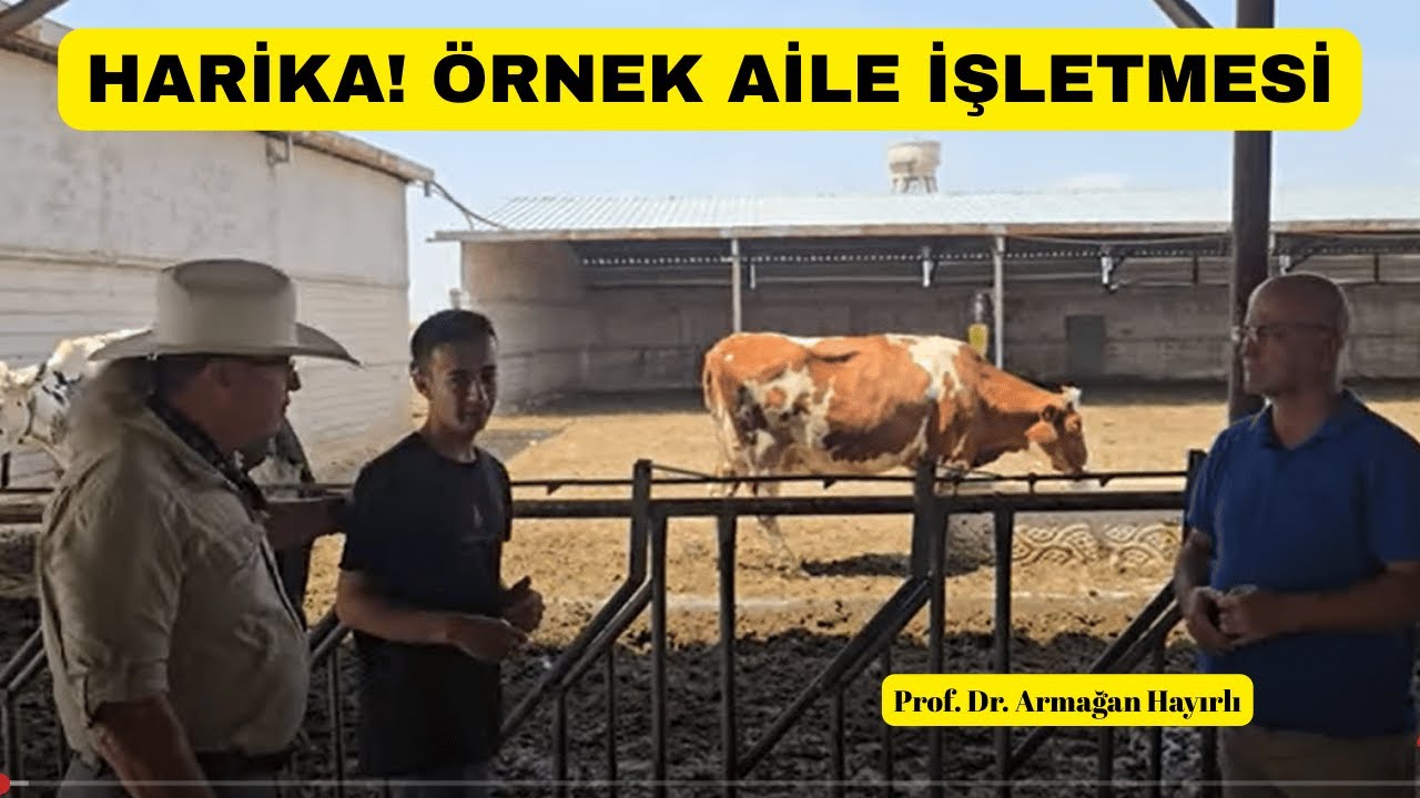 HARİKA Örnek! Küçük Aile İşletmesi