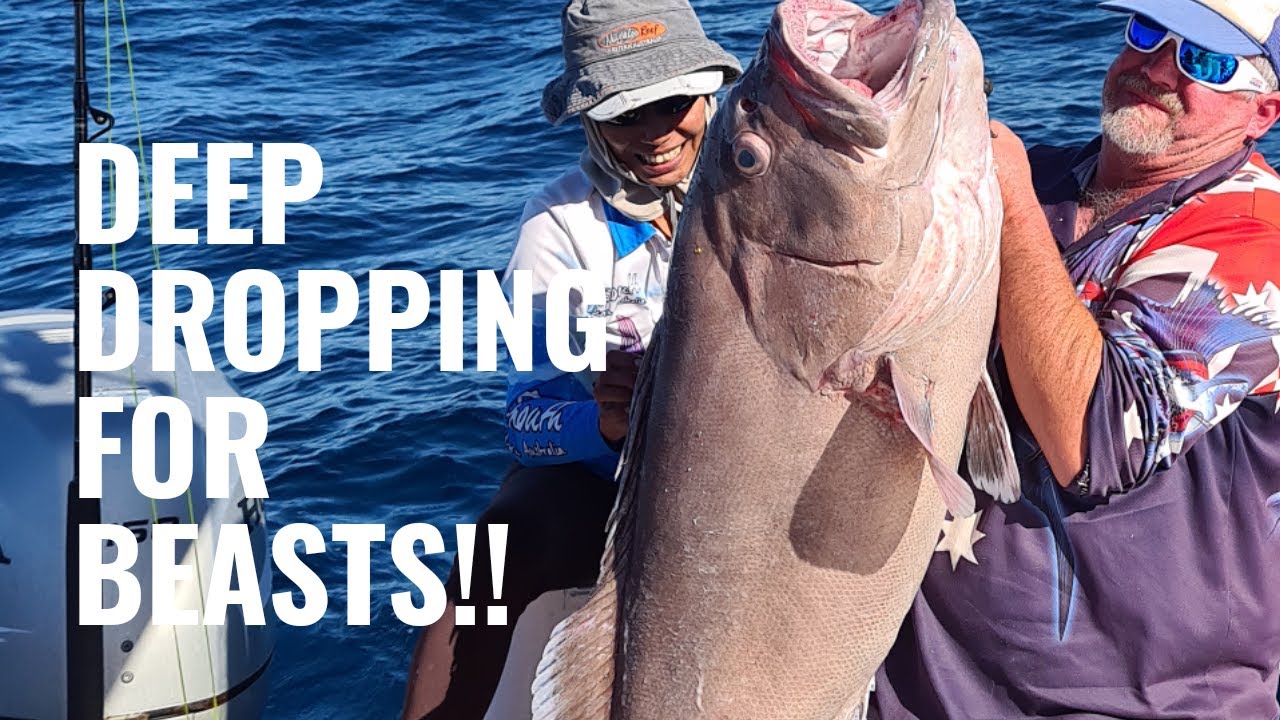 DEEP DROPPING!!! Huge 8 bar cod and Ruby fishing! 250mtrs deep