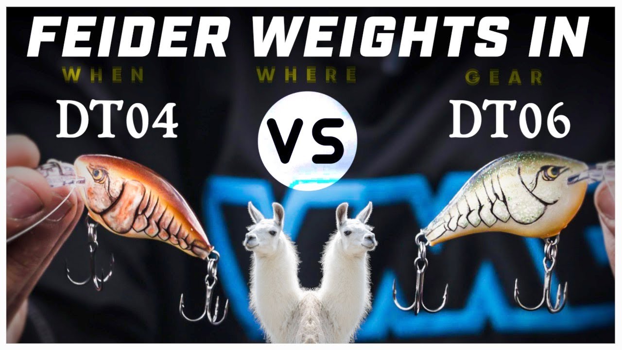 Rapala DT4 vs. DT6 | Seth Feider Explains Differences