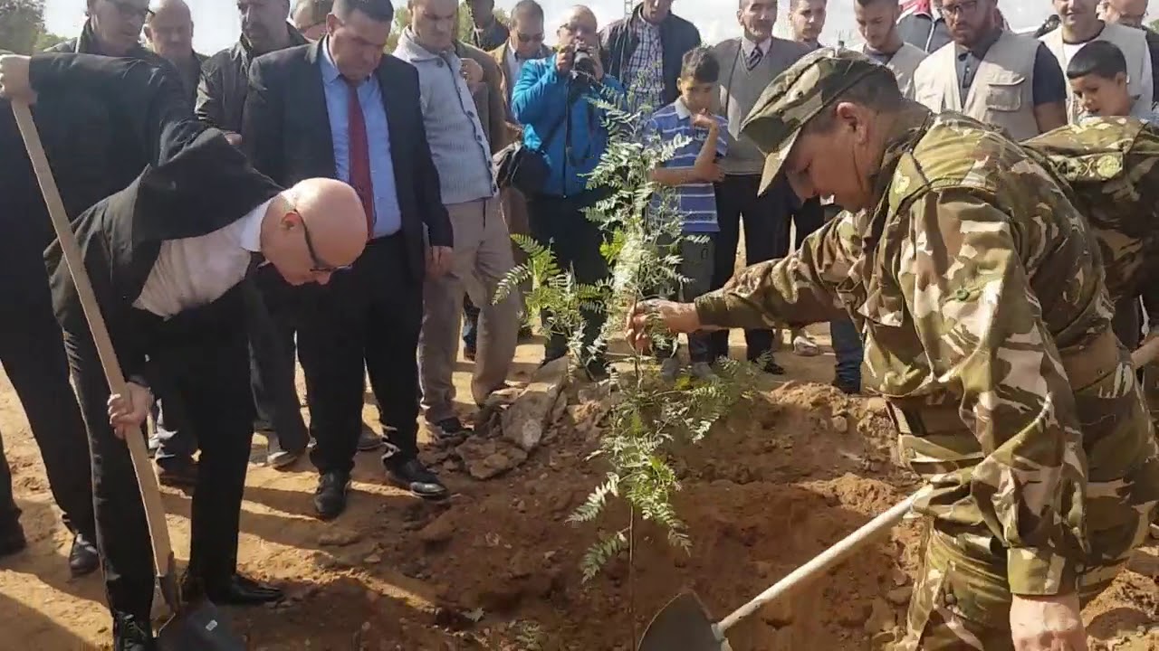 تنظيم عملية تشجير واسعة النطاق ببلدية العريشة