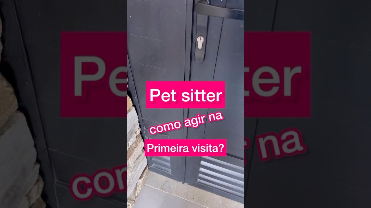 Pet Sitter, primeira visita #petsitter #cachorro #gatos