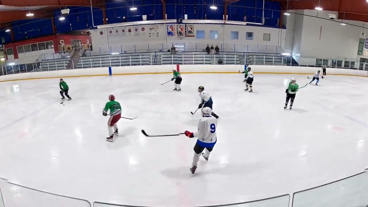 CNY Adult Hockey League - Sturgeons vs Iguanas