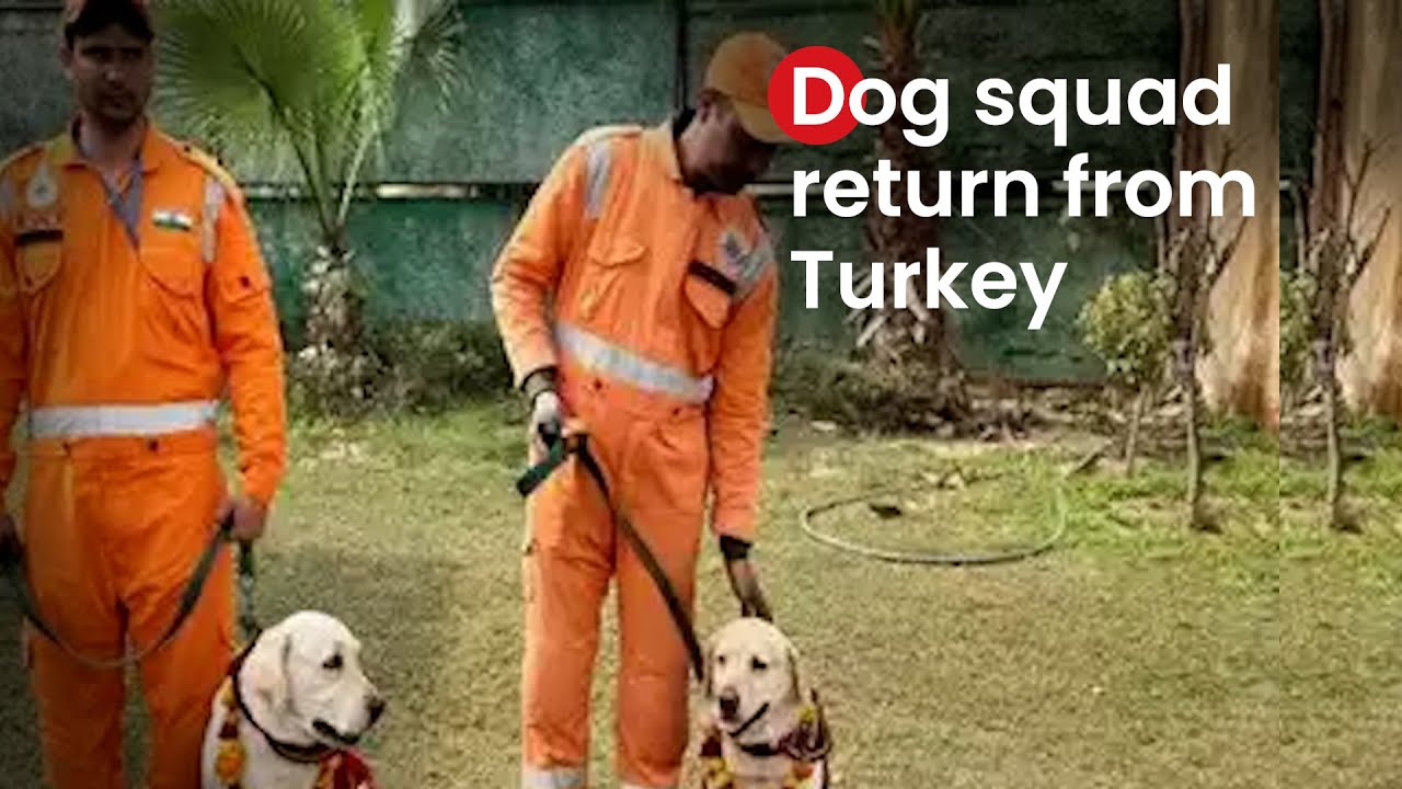 Operation Dost: NDRF team, dog squad return from Turkey | Turkey Earthquake | NDRF