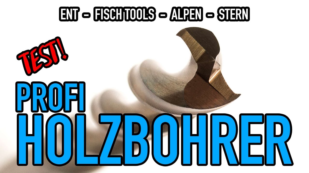 ENT-FISCH/ALPEN/STERN Holzbohrer im Vergleich 