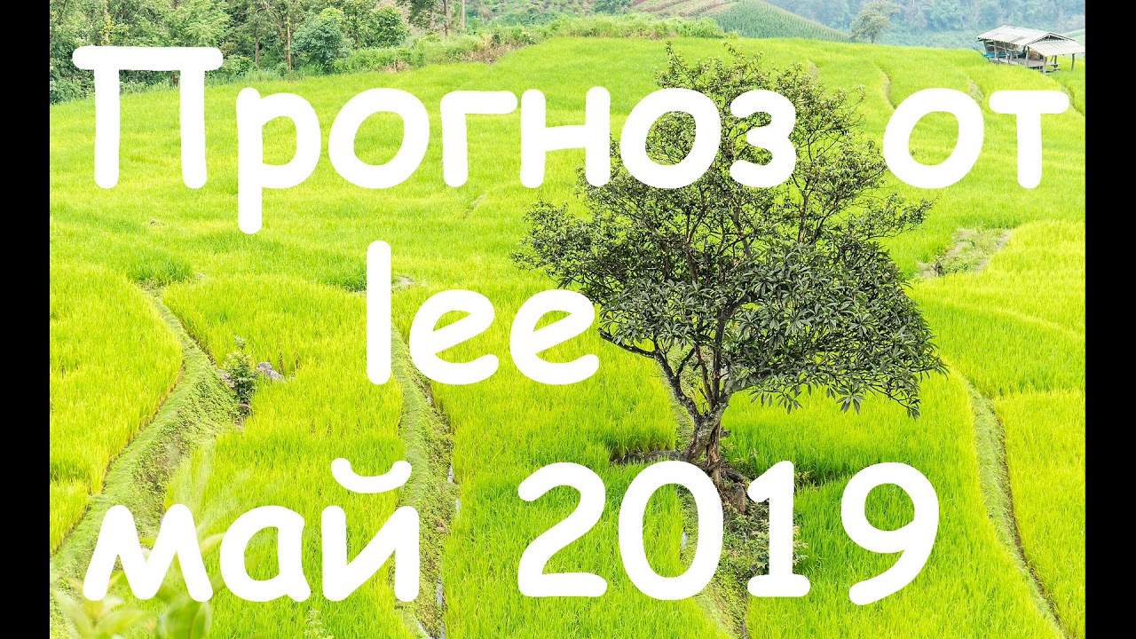 Прогноз на май 2019 года от lee