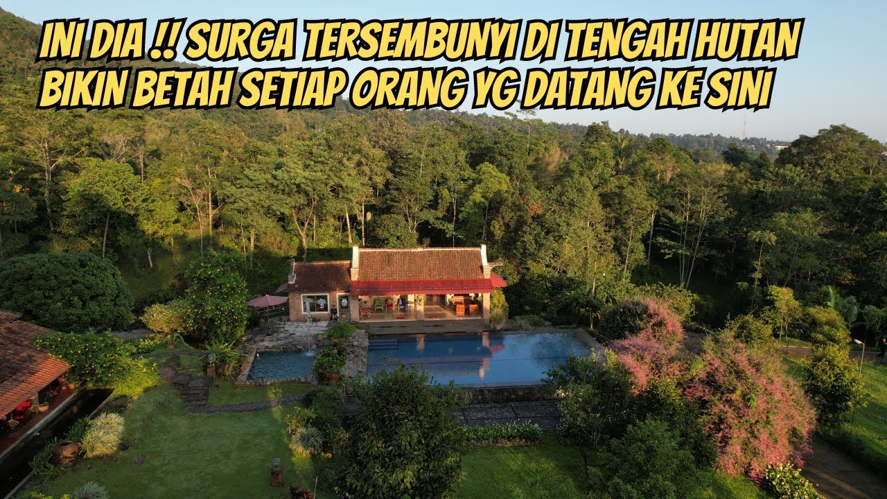 BIKIN PENASARAN !! SURGA TERSEMBUNYI DI TENGAH HUTAN