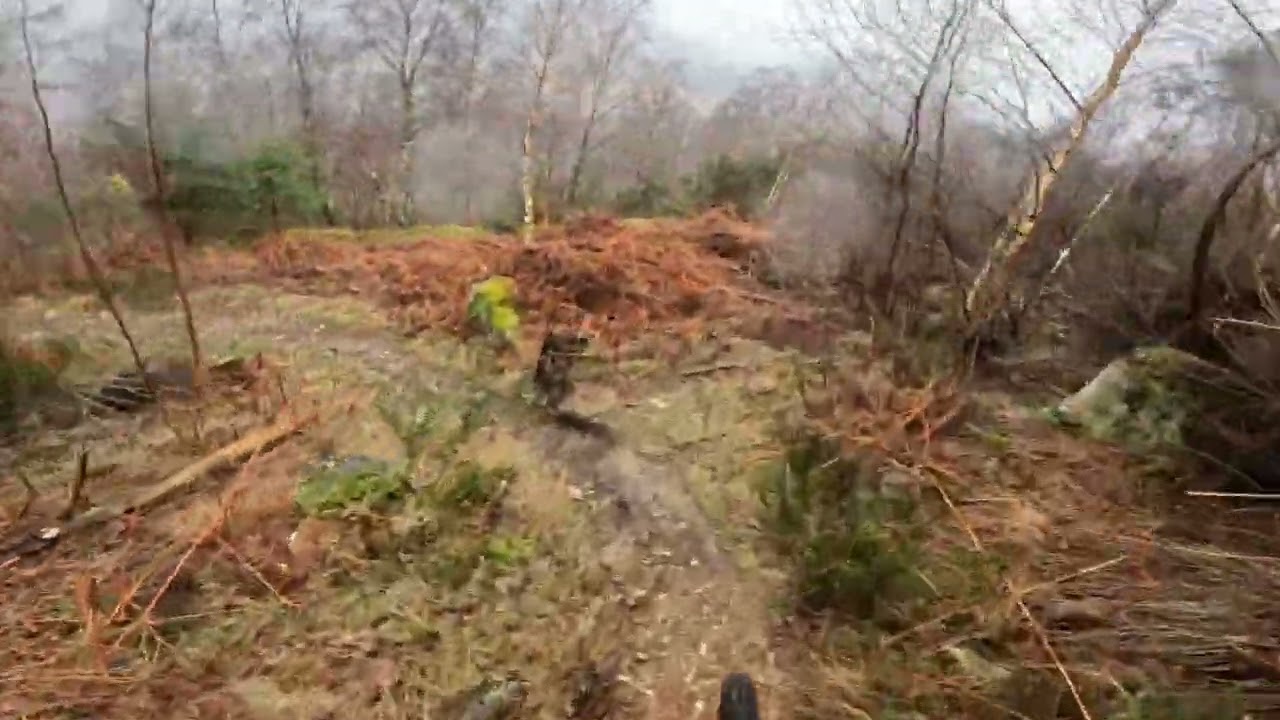 Dunkeld day 2 (slip and slide)