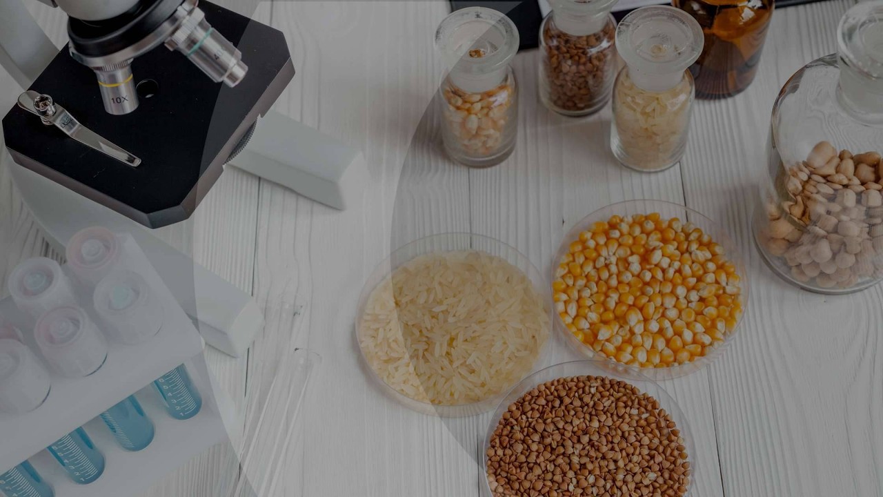 extrinsic parameters of food affecting microbial growth | Food Microbiology |SNS Institutions