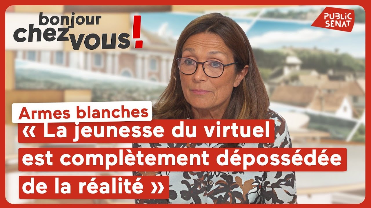 Anne Chain-Larché : « La jeunesse du virtuel est complètement dépossédée de la réalité »