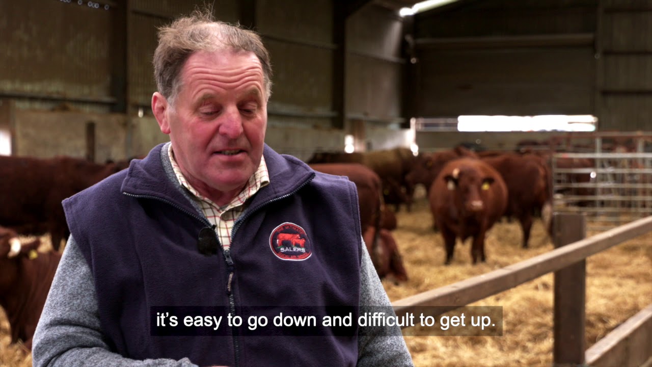 Scotland's Beef Event 2019