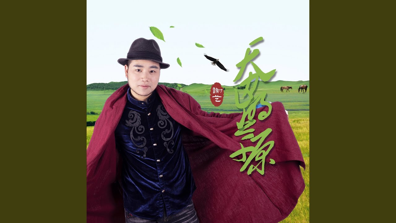 天边的草原 (DJ默涵版)