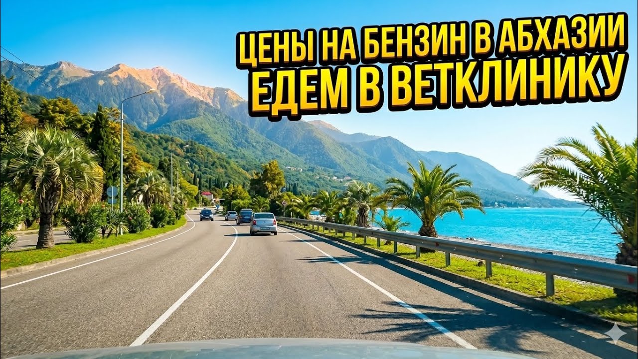 АБХАЗИЯ ЦЕНЫ НА БЕНЗИН. ГДЕ КУПИТЬ СТРАХОВКУ ОСАГО В АБХАЗИИ?! СЕКРЕТНЫЙ ПЛЯЖ 🌴 
