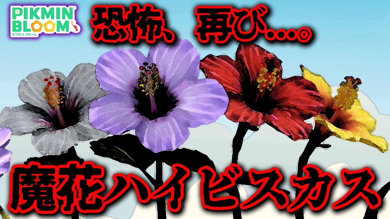 【ピクミンブルーム】恐怖、再び...。魔花ハイビスカス【Pikmin Bloom】