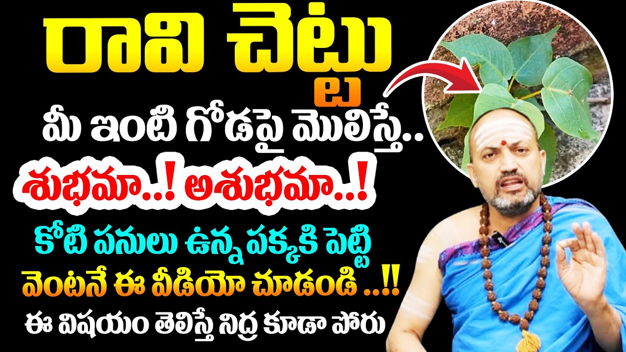 Nandibatla || రావిచెట్టు మీ ఇంట్లో గోడపై పెరిగితే! || Importance of Ravi Chettu || Dharmasandehalu