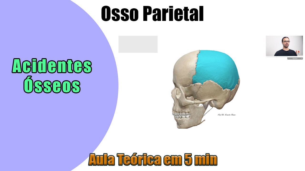 Osso Parietal - Aula Teórica - Anatomia Humana