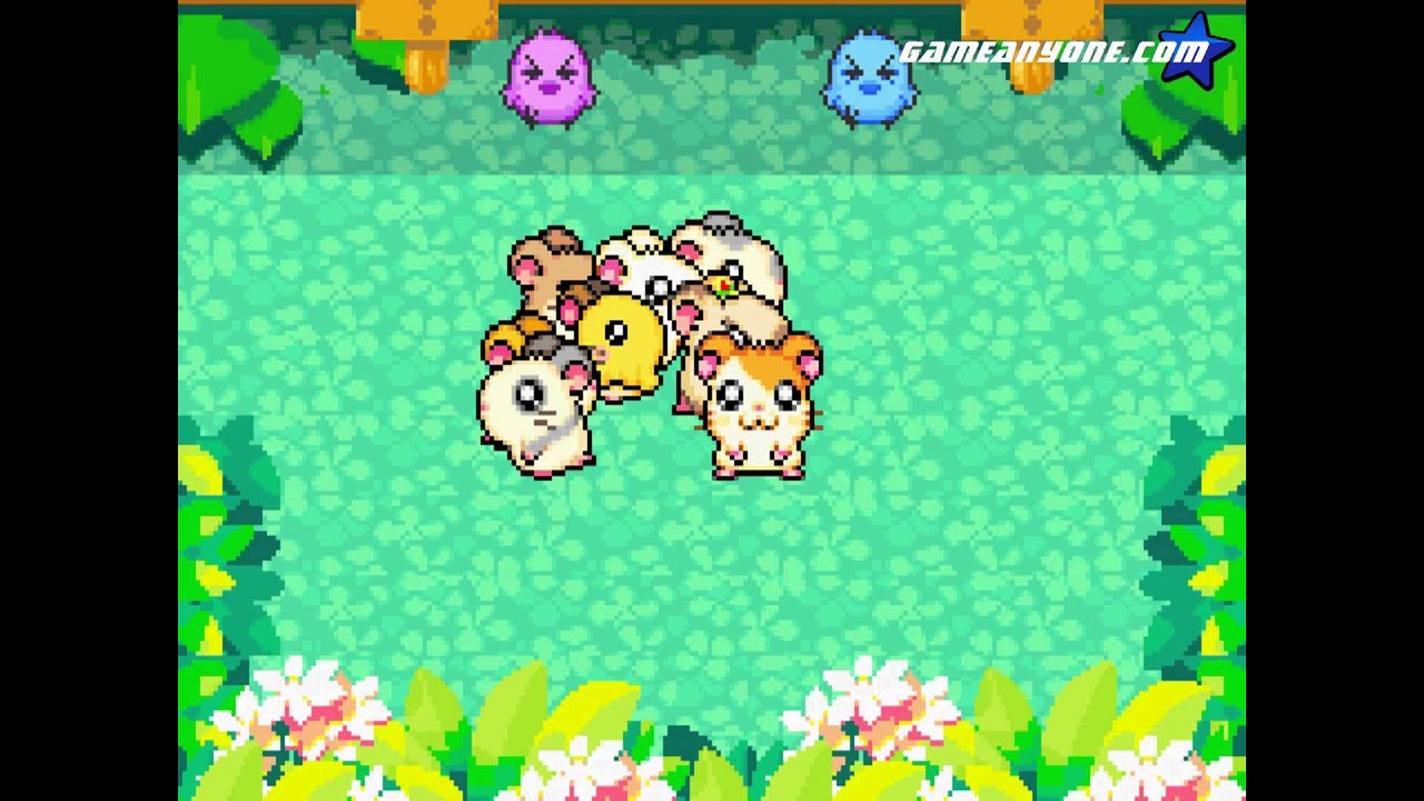 Let's Play Hamtaro: Rainbow Rescue: Part 39 - The Chicky-Chick Challenge
