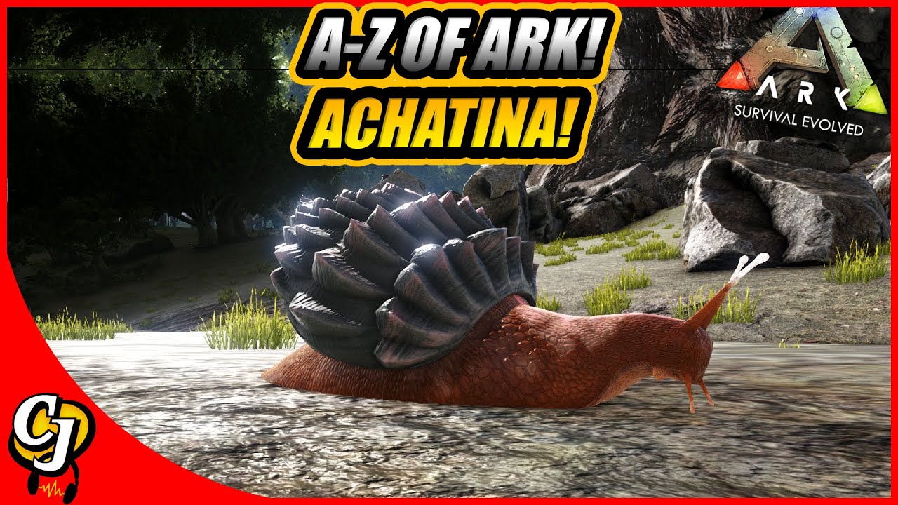 A-Z Of Ark! The ACAHTINA And How Its The Most Portable Turret Soaker!! || Ark survival evolved!