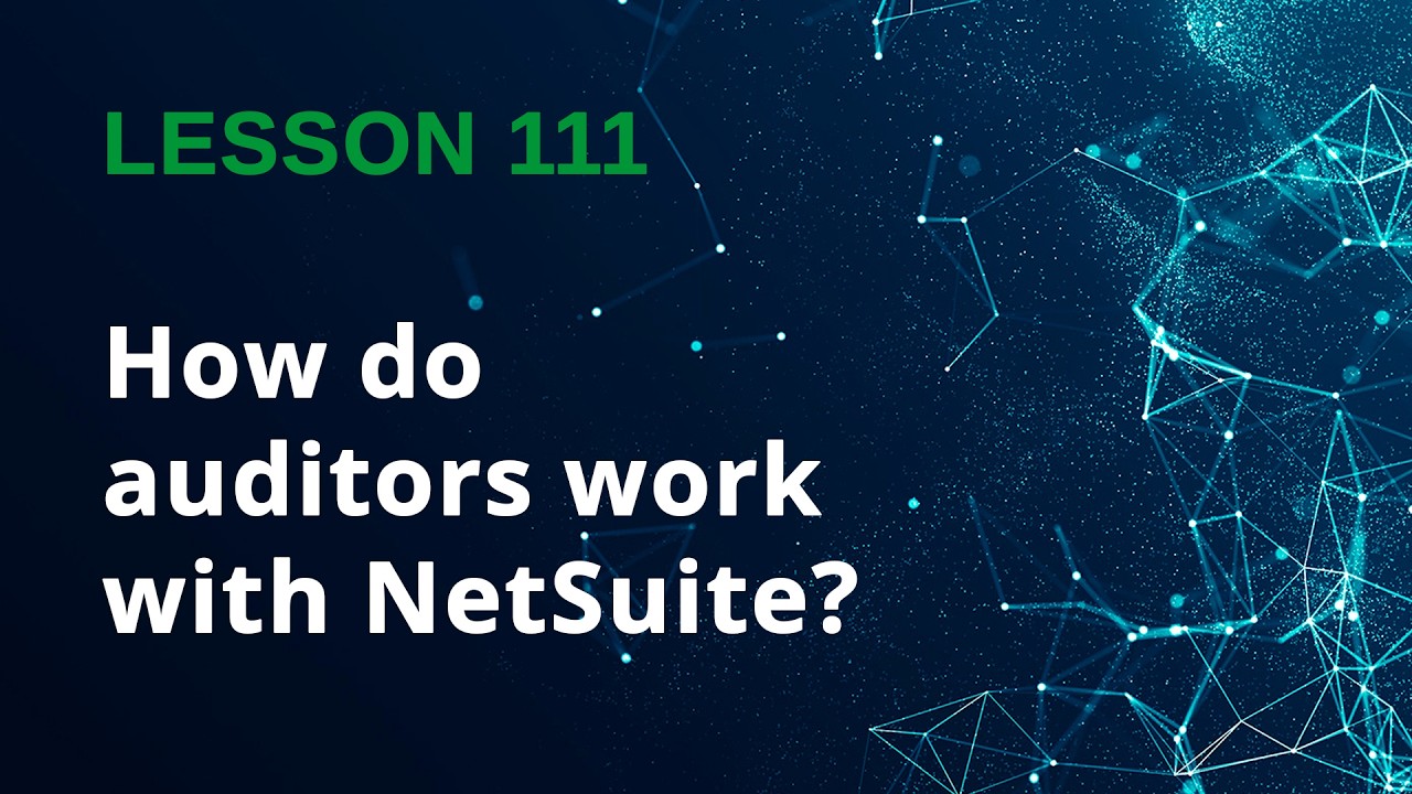 How External Auditors Use NetSuite | Access, Data Extraction & Controls - Lesson 111