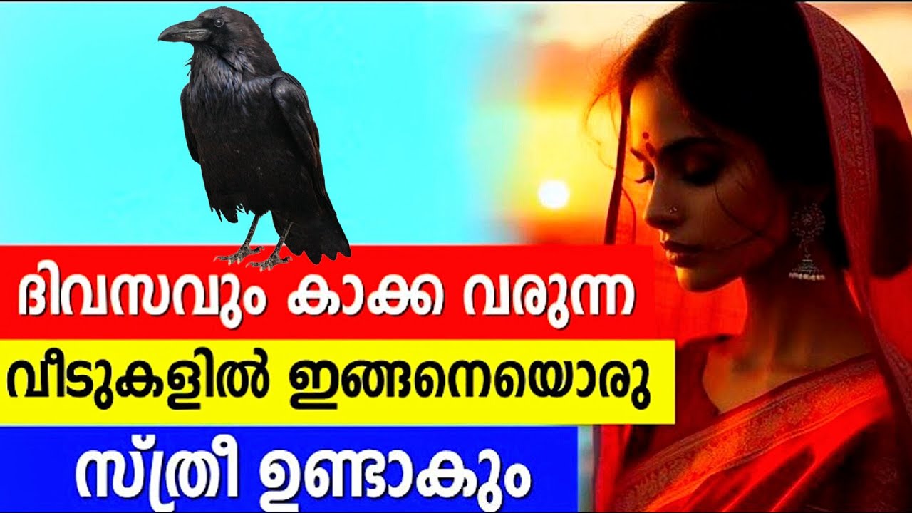 നിങ്ങളുടെ വീട്ടിൽ നിത്യവും കാക്ക വരാറുണ്ടോ ? അവിടെ ഇങ്ങനെയൊരു സ്ത്രീ തീർച്ചയായും ഉണ്ടാകും...