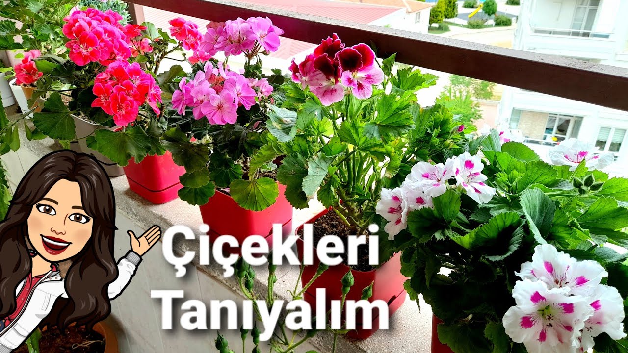 TERASI GEZELİM..🥰⚘🌷🪴