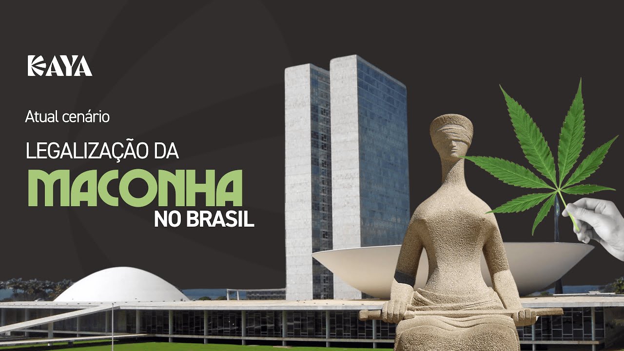Legalização da cannabis no Brasil em 2025: O que mudou no uso, cultivo e mercado medicinal