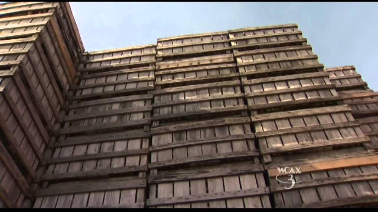 Vermont's Apple Season, WCAX 9-17-11