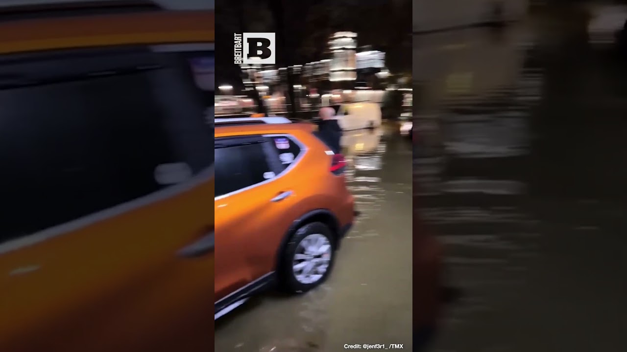 Bronx Flooding: Broken Water Main Results in Cars Underwater in NY Neighborhood