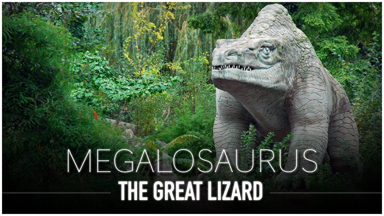 Megalosaurus: The ENORMOUS 'Great' Lizard | Dinosaur Documentary