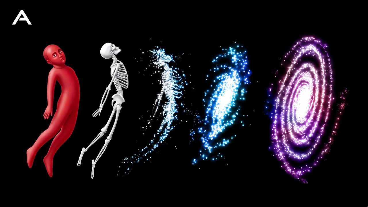 You are the Universe Experiencing Itself | Spinoza's God