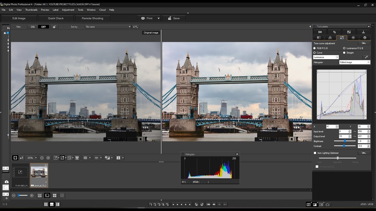 CANON DPP 4 Review and Tutorial 2021. It is The Best Canon Raw Editor. But.....!