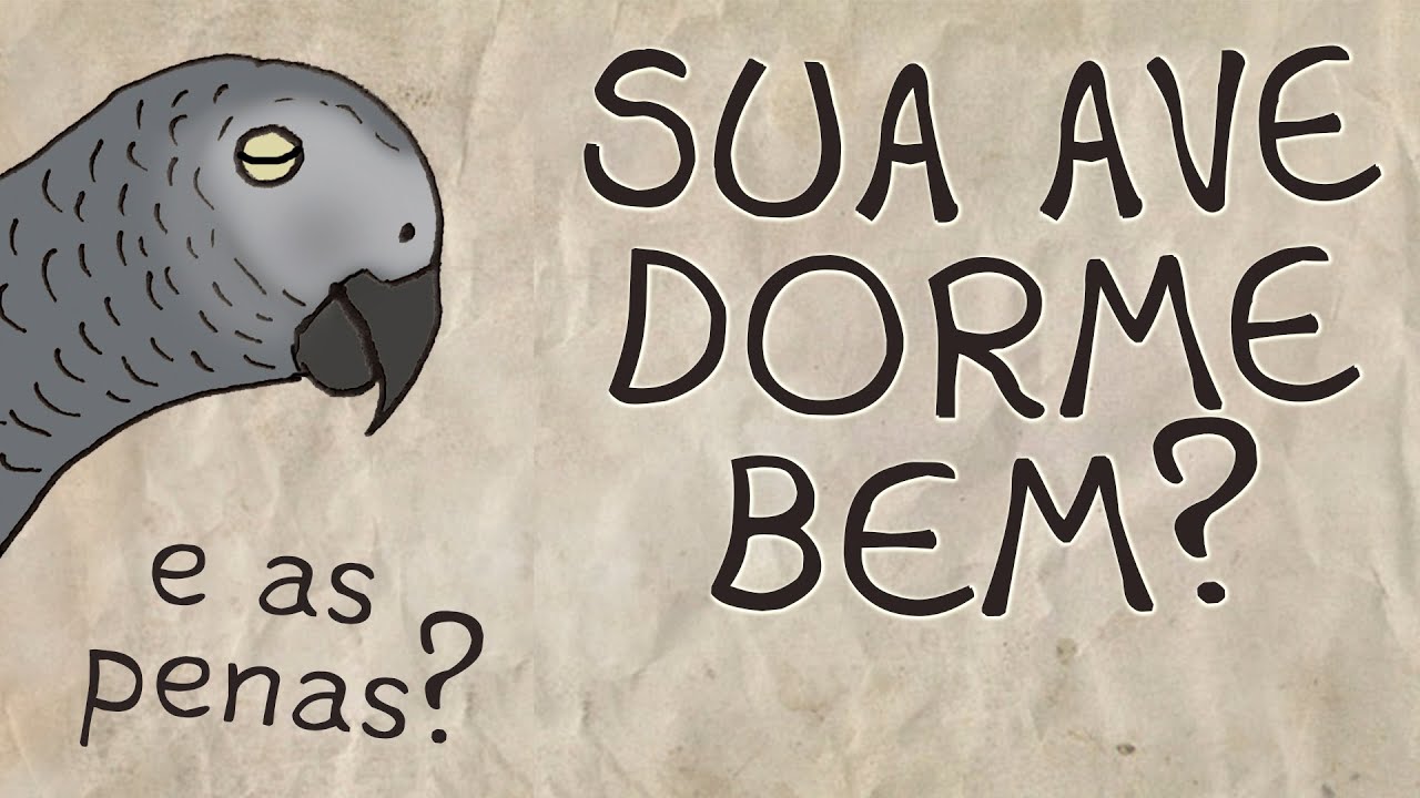 Sua Ave dorme Bem? - Parte 03