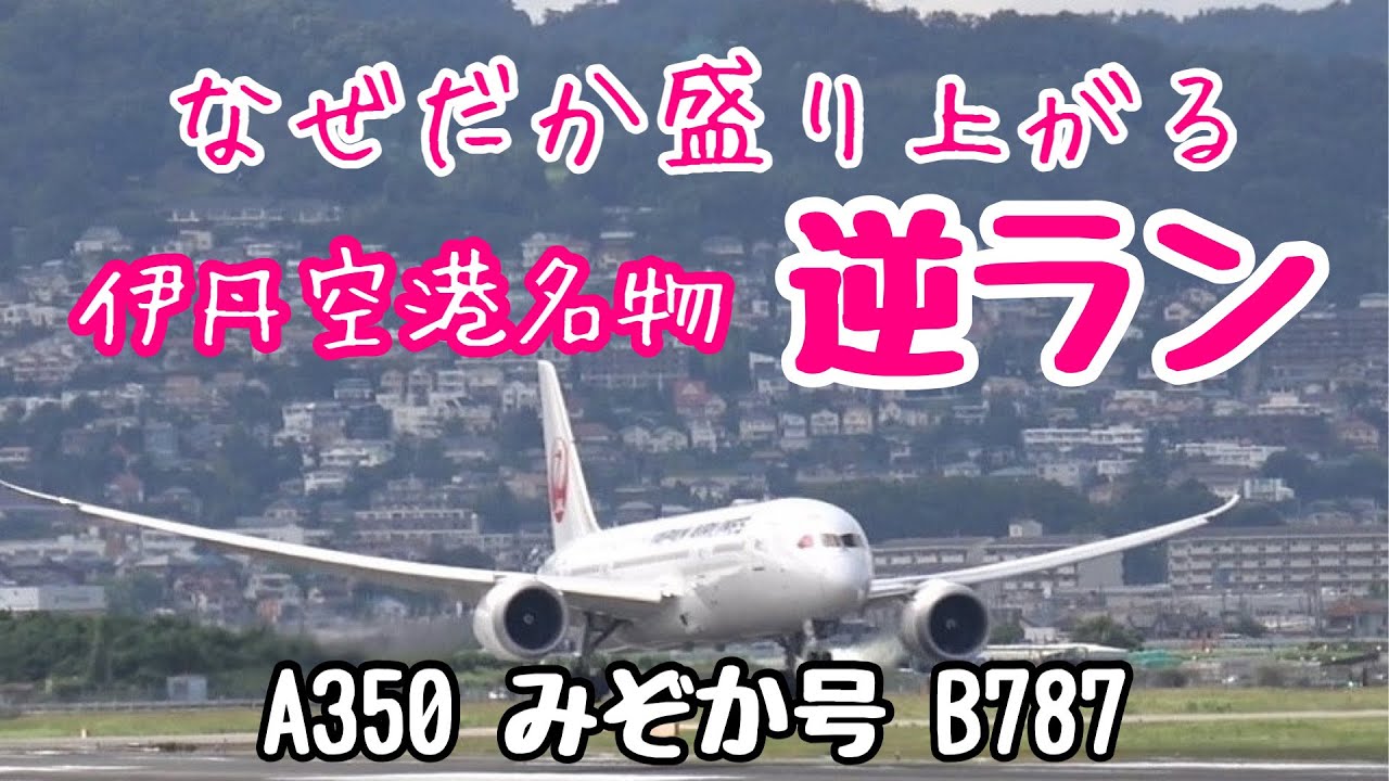 なぜだか盛り上がる伊丹空港名物「逆ラン」　カーブしながら進入してくる姿がかっこいい！