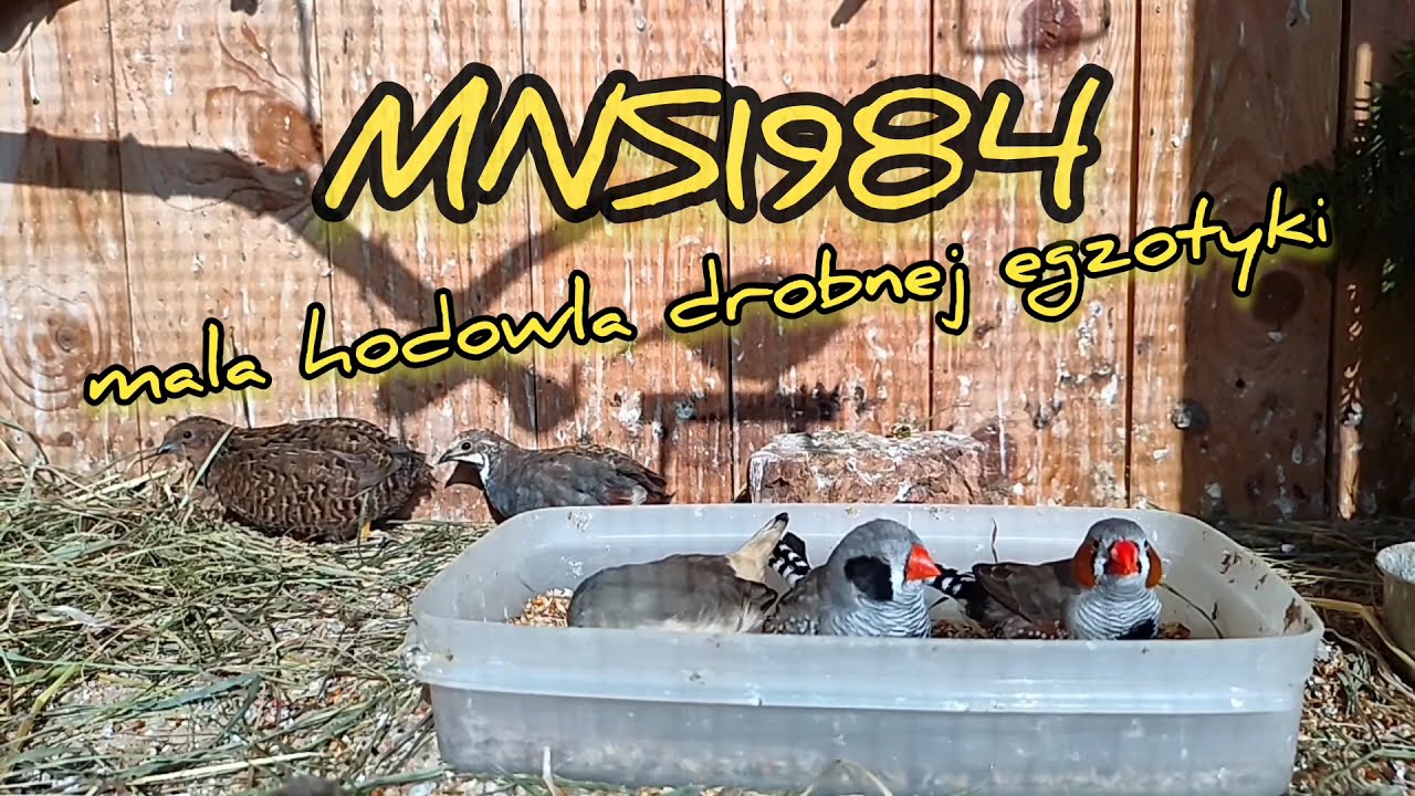 Zmiany, plany, aktualności, pytanie KONKURSOWE!!! VLOG 23 23.05.2021