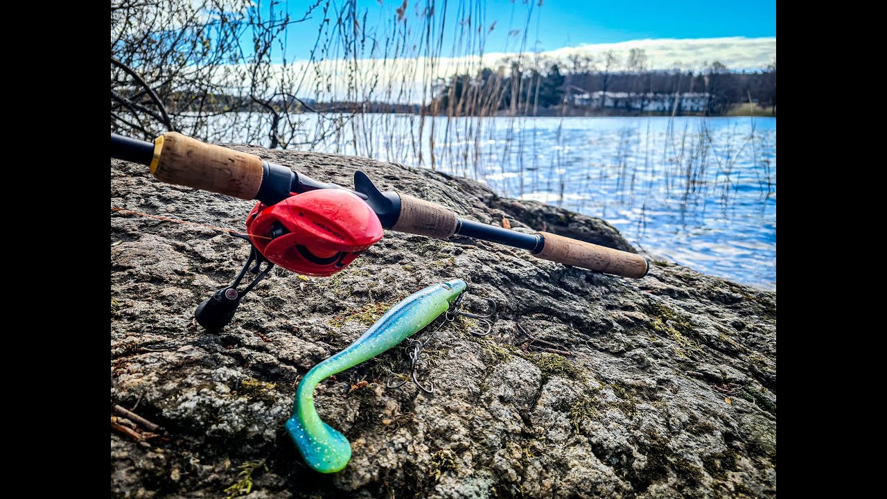 szczupaki  1 maja 2022 , shimano beastmaster + concept z 13 fishing