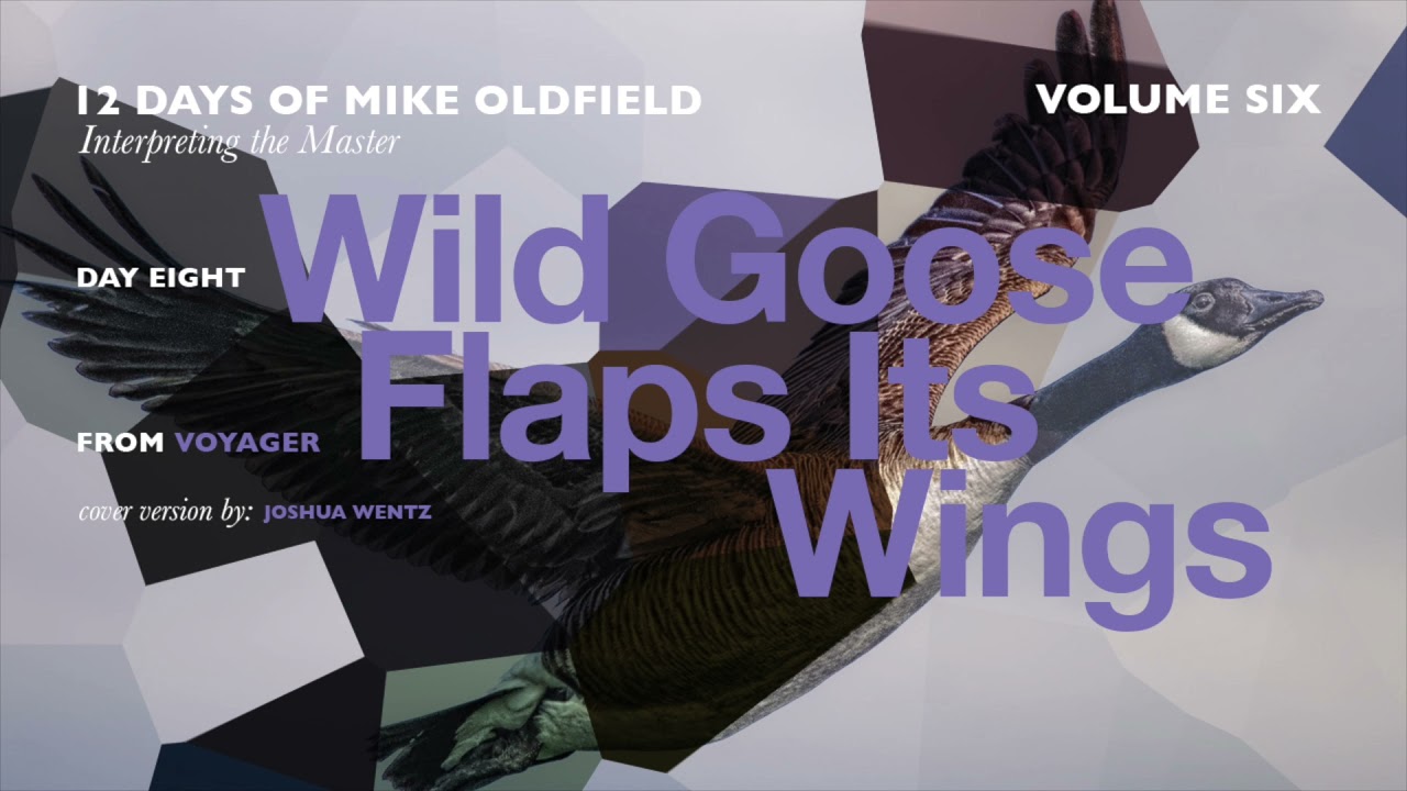 Wild Goose Flaps Its Wings (Mike Oldfield Cover)