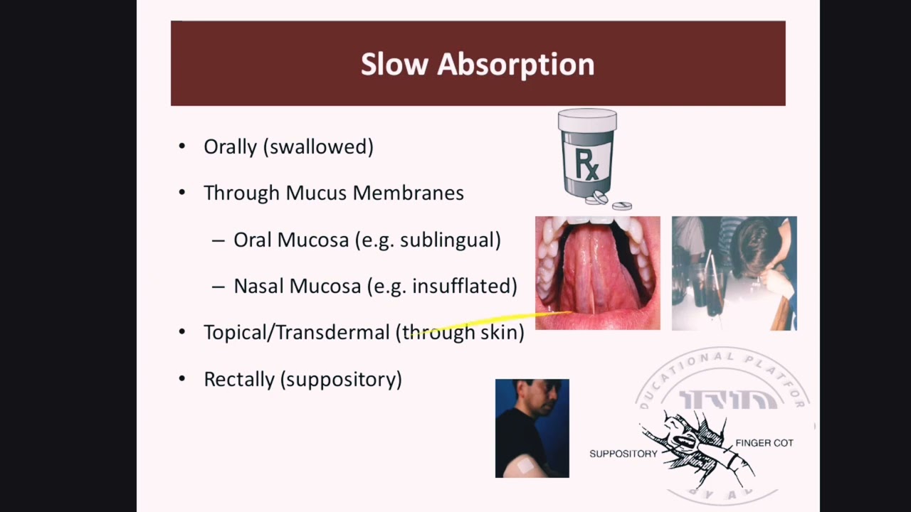 Pharmacokinetics chapter: 3 part :1 pharmacology 3rd semester kmu slides in pashto #kmupdates